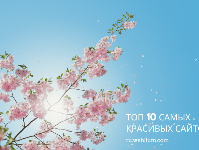 Красивый сайт: ТОП 10 красивых сайтов