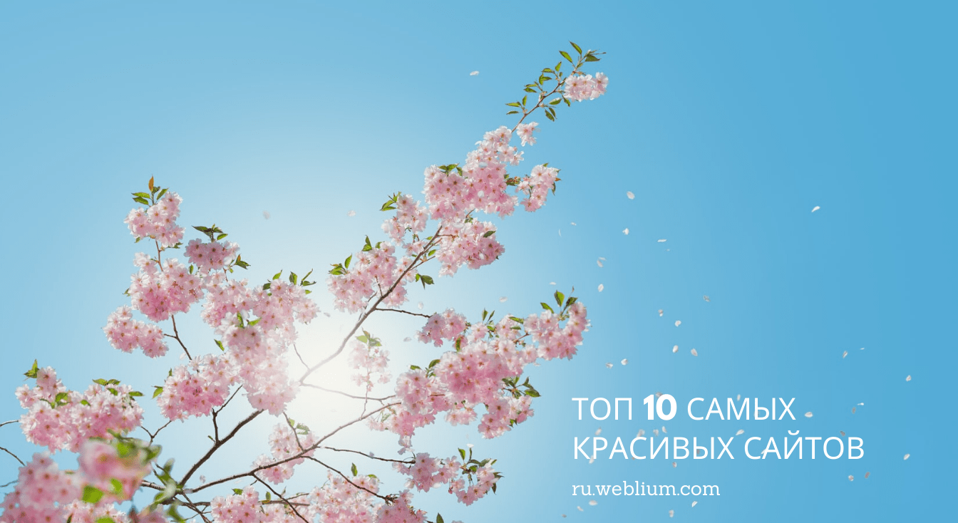 Красивый сайт: ТОП 10 красивых сайтов
