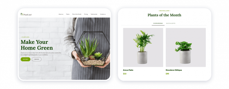 шаблон Plant Shop 